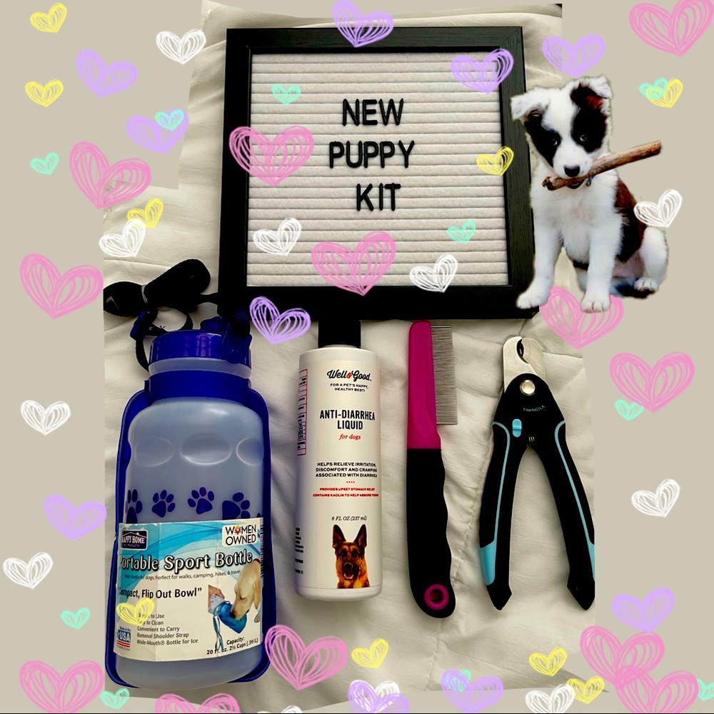 New puppy dog pet kit water bottle flea comb nail clippers antidiarrhea medicine